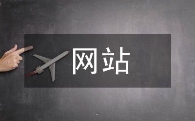 網(wǎng)站調(diào)查報告