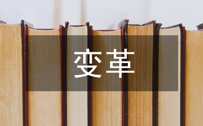 信息時(shí)代的會(huì)計(jì)信息變革詮釋
