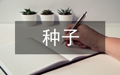 種子市場(chǎng)監(jiān)管工作看法